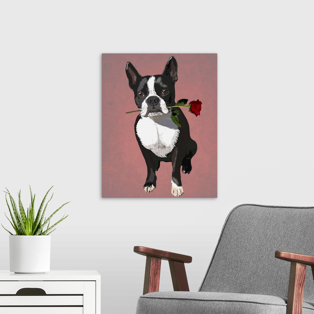 A modern room featuring Illustration of a Boston Terrier dog holding a rose in its mouth.