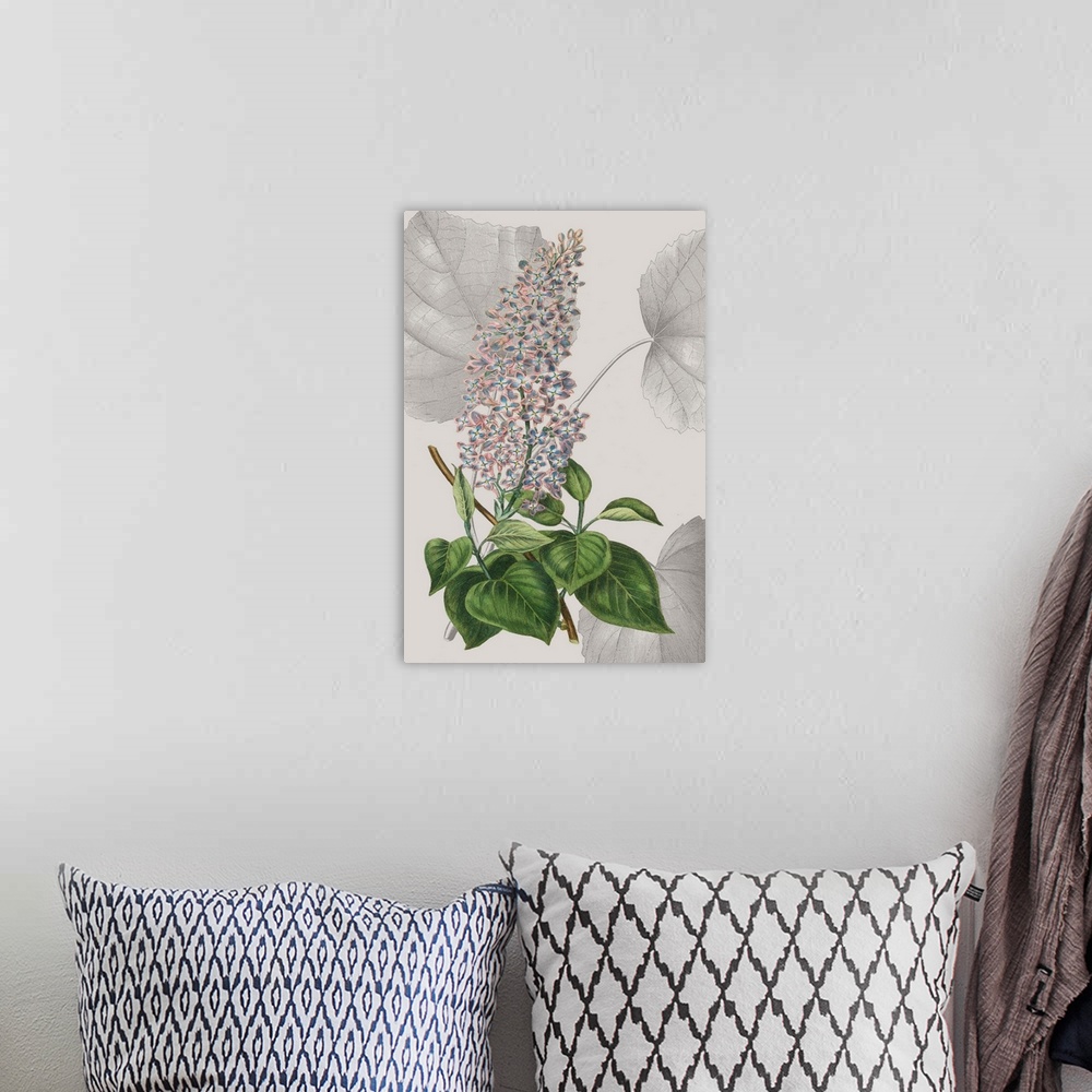 A bohemian room featuring Colorful botanical study of a gray background.
