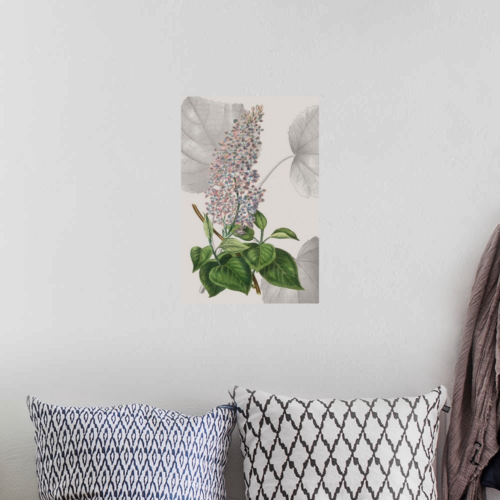 A bohemian room featuring Colorful botanical study of a gray background.