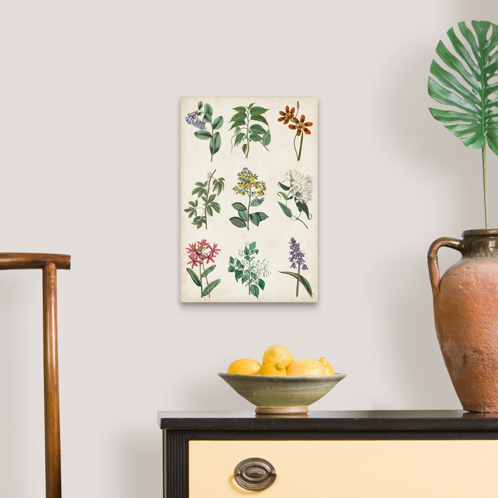 A traditional room featuring Botanical Chart I