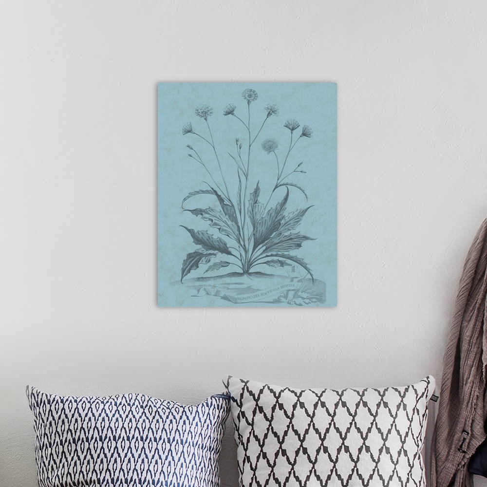 A bohemian room featuring This decorative artwork features an illustrative plant over a distressed blue background with the...