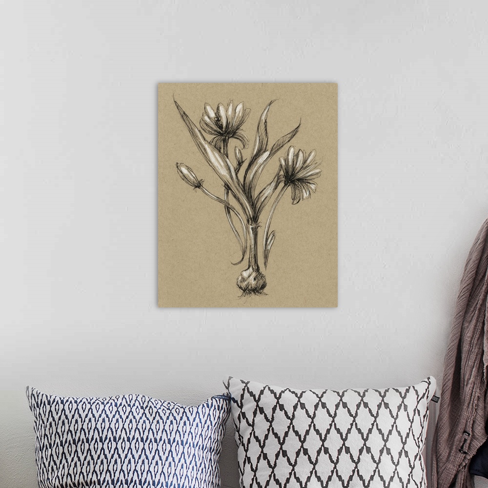 A bohemian room featuring Decorative print of a botanical drawing featuring a flower growing from a bulb.