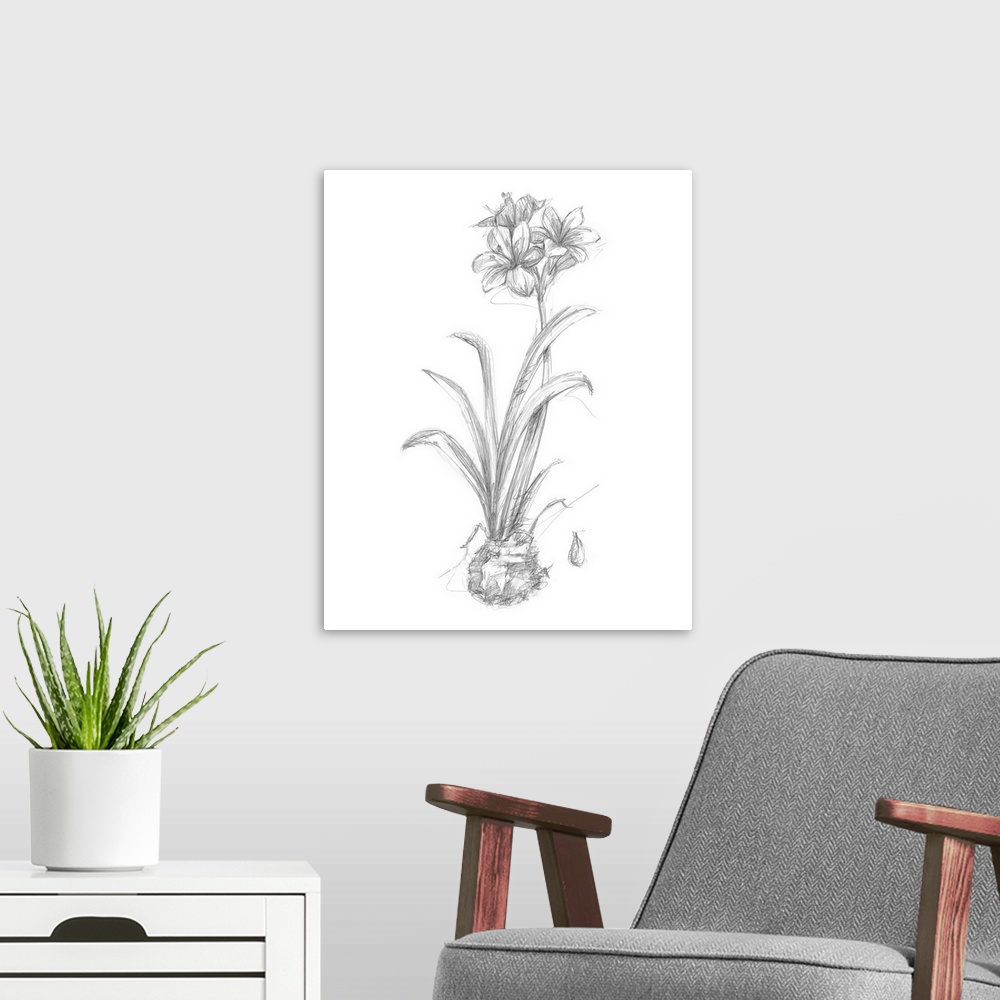A modern room featuring Decorative print of a botanical drawing featuring a flower growing from a bulb.