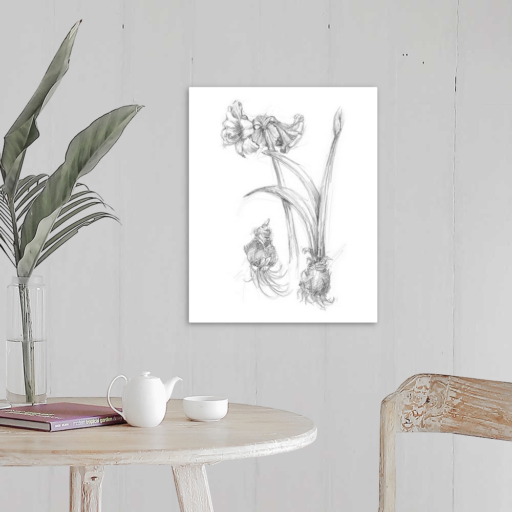 A farmhouse room featuring Decorative print of a botanical drawing featuring a flower growing from a bulb.