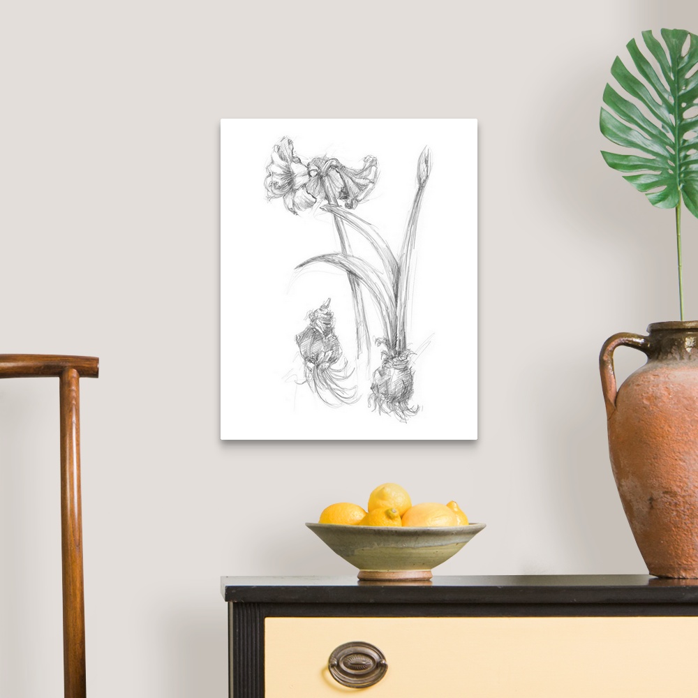 A traditional room featuring Decorative print of a botanical drawing featuring a flower growing from a bulb.