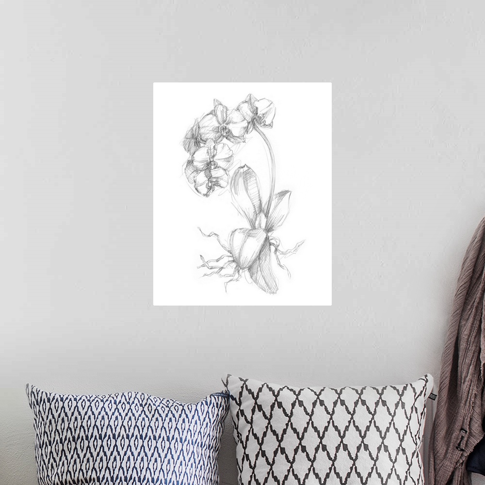 A bohemian room featuring Decorative print of a botanical drawing featuring orchids.