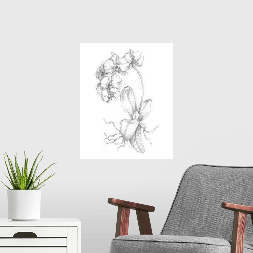 A modern room featuring Decorative print of a botanical drawing featuring orchids.