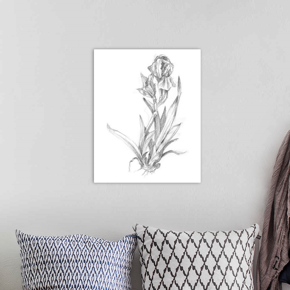 A bohemian room featuring Decorative print of a botanical drawing featuring a growing lily.