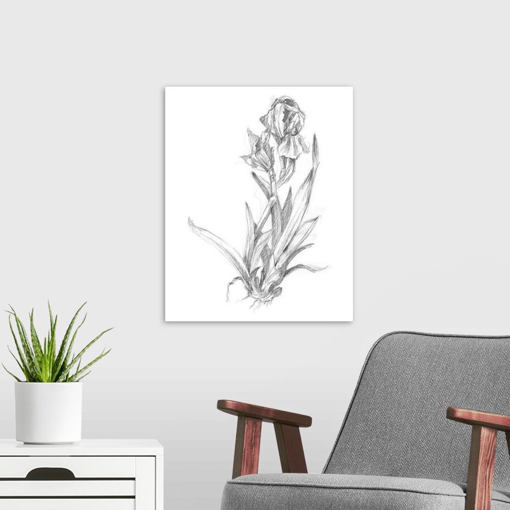 A modern room featuring Decorative print of a botanical drawing featuring a growing lily.