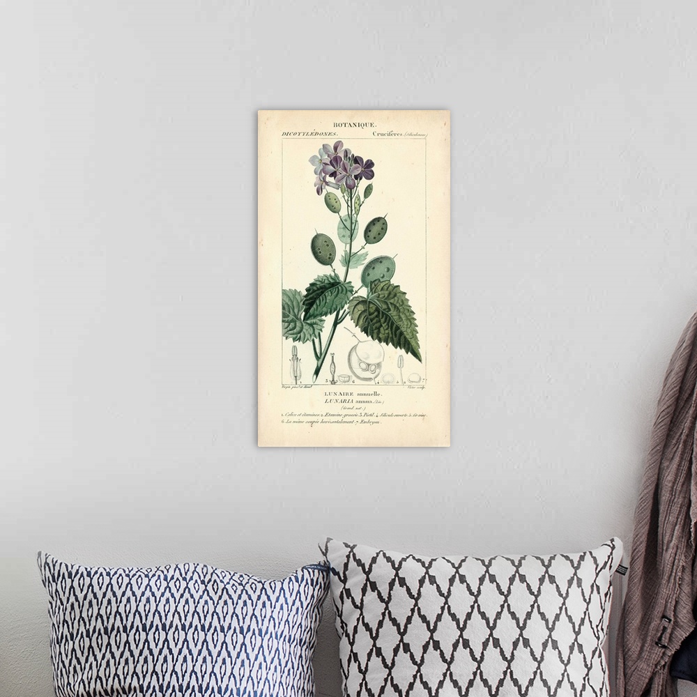 A bohemian room featuring Botanique Study in Lavender III