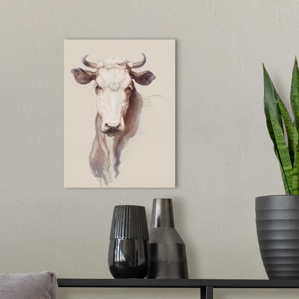 A modern room featuring Bovine Concept I