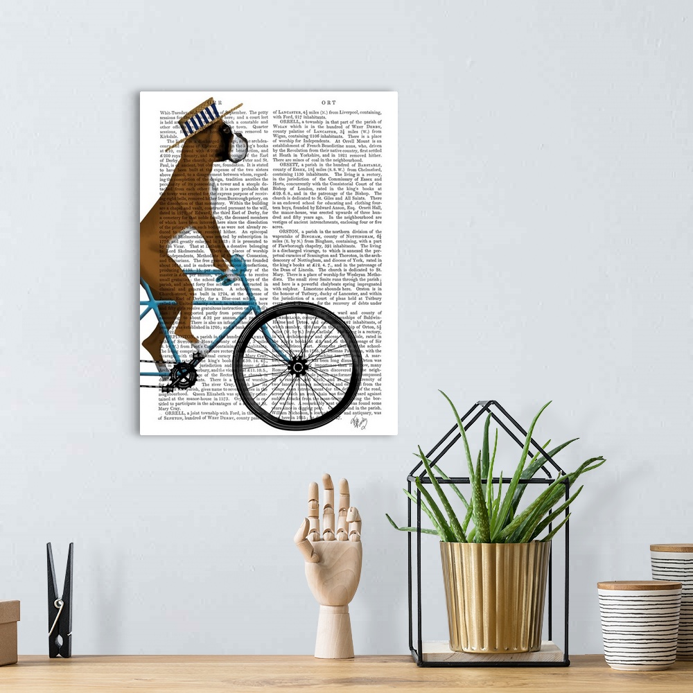 A bohemian room featuring Decorative artwork of a Boxer wearing a hat and riding a bicycle, painted on the page of a book.