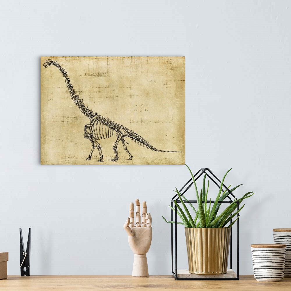A bohemian room featuring Brachiosaurus Study