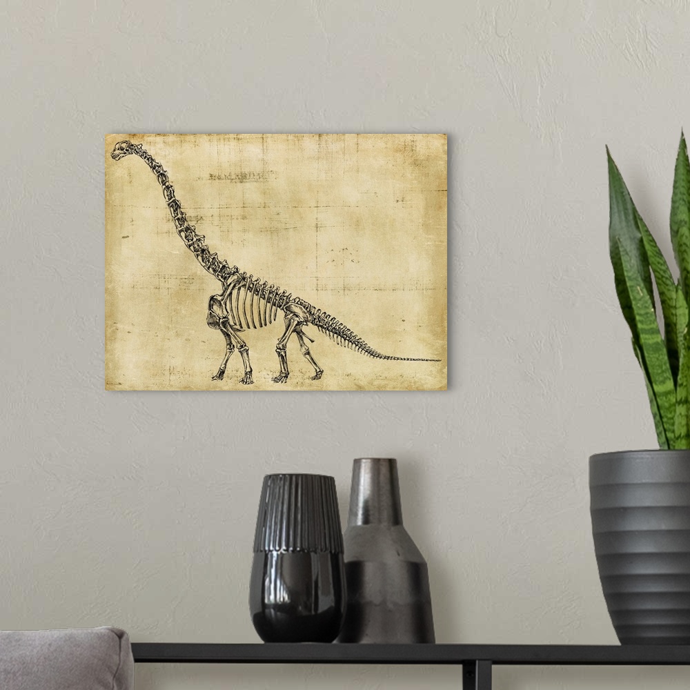 A modern room featuring Brachiosaurus Study