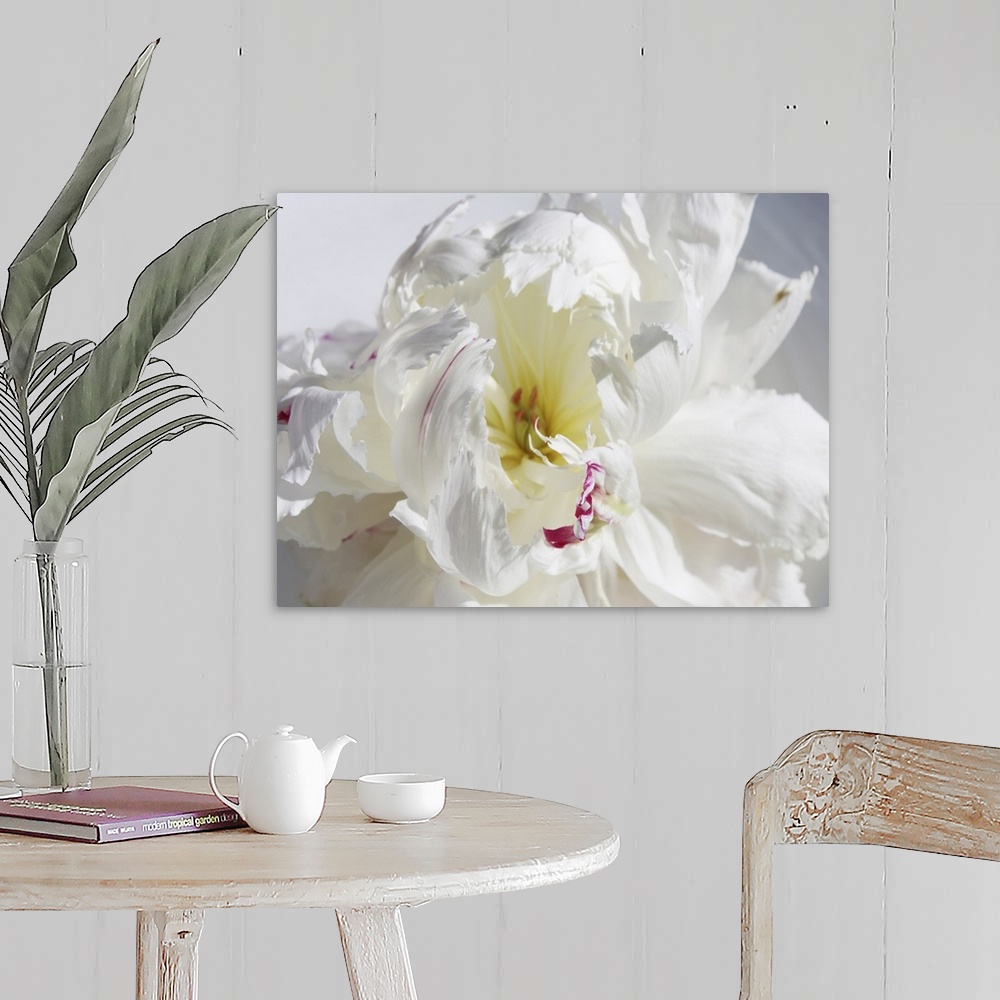 A farmhouse room featuring A close-up photo of a dainty white flower exudes the feeling being breathless.