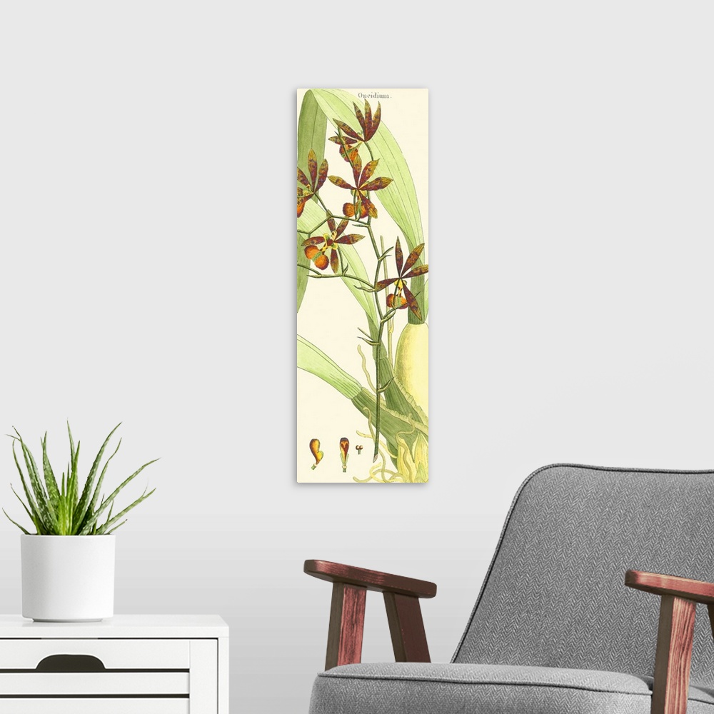 A modern room featuring Brilliant Orchids II