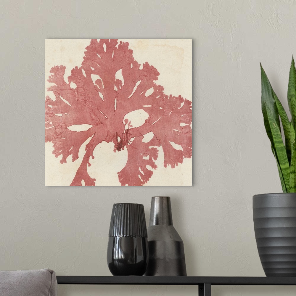 A modern room featuring Brilliant Seaweed V