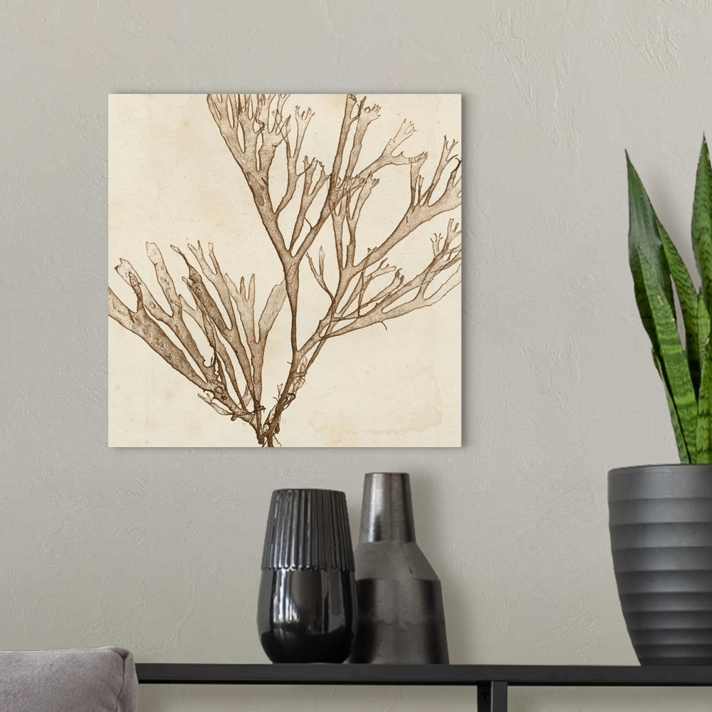 A modern room featuring Brilliant Seaweed VII