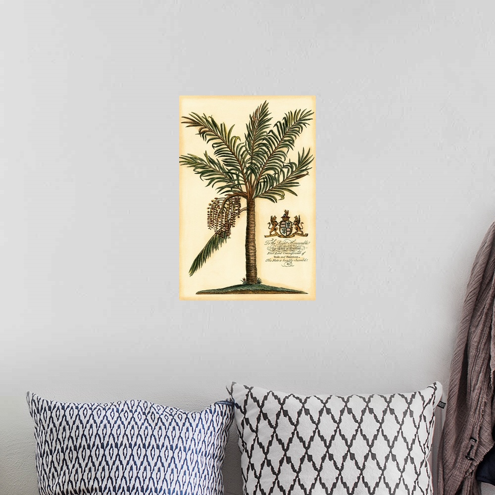 A bohemian room featuring British Colonial Palm II