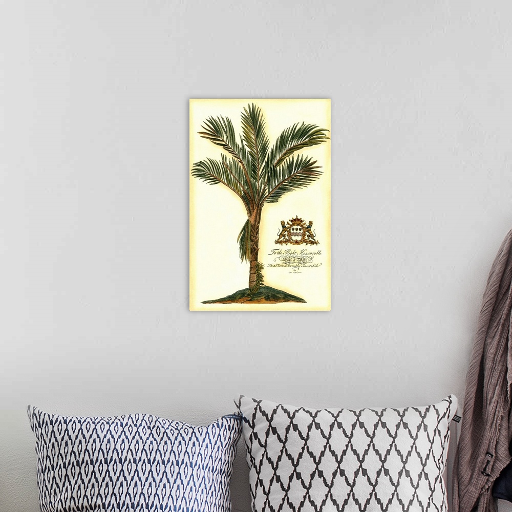 A bohemian room featuring British Colonial Palm IV