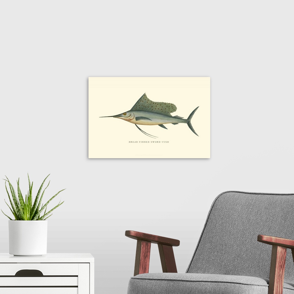 A modern room featuring Broad Finned Sword-Fish