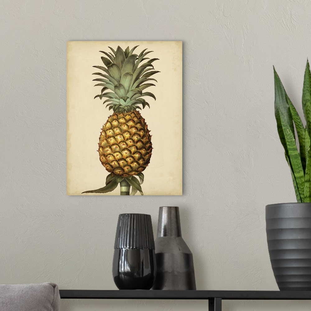 A modern room featuring Brookshaw Antique Pineapple I