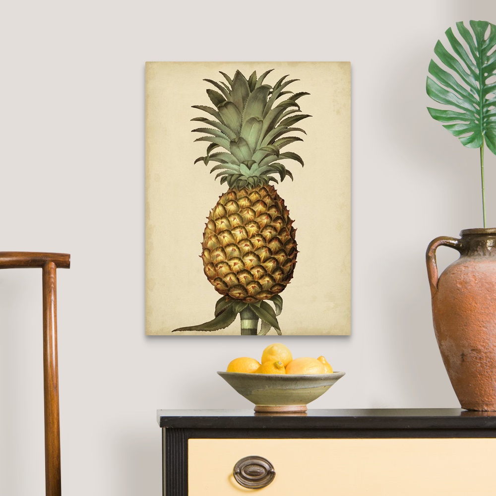 A traditional room featuring Brookshaw Antique Pineapple I