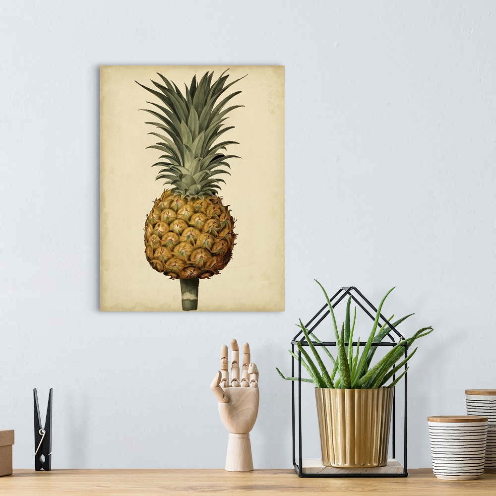 A bohemian room featuring Brookshaw Antique Pineapple II
