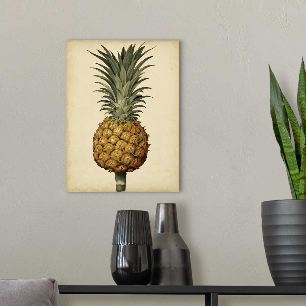 A modern room featuring Brookshaw Antique Pineapple II