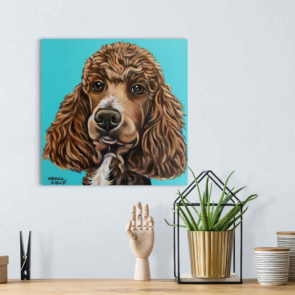 A bohemian room featuring Brown Poodle