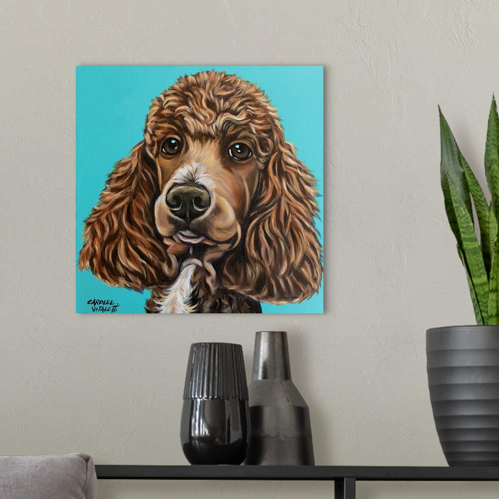 A modern room featuring Brown Poodle