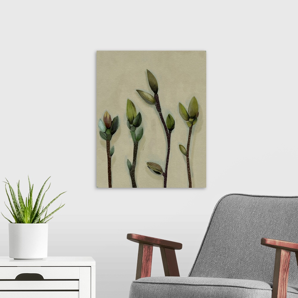 A modern room featuring Buds I
