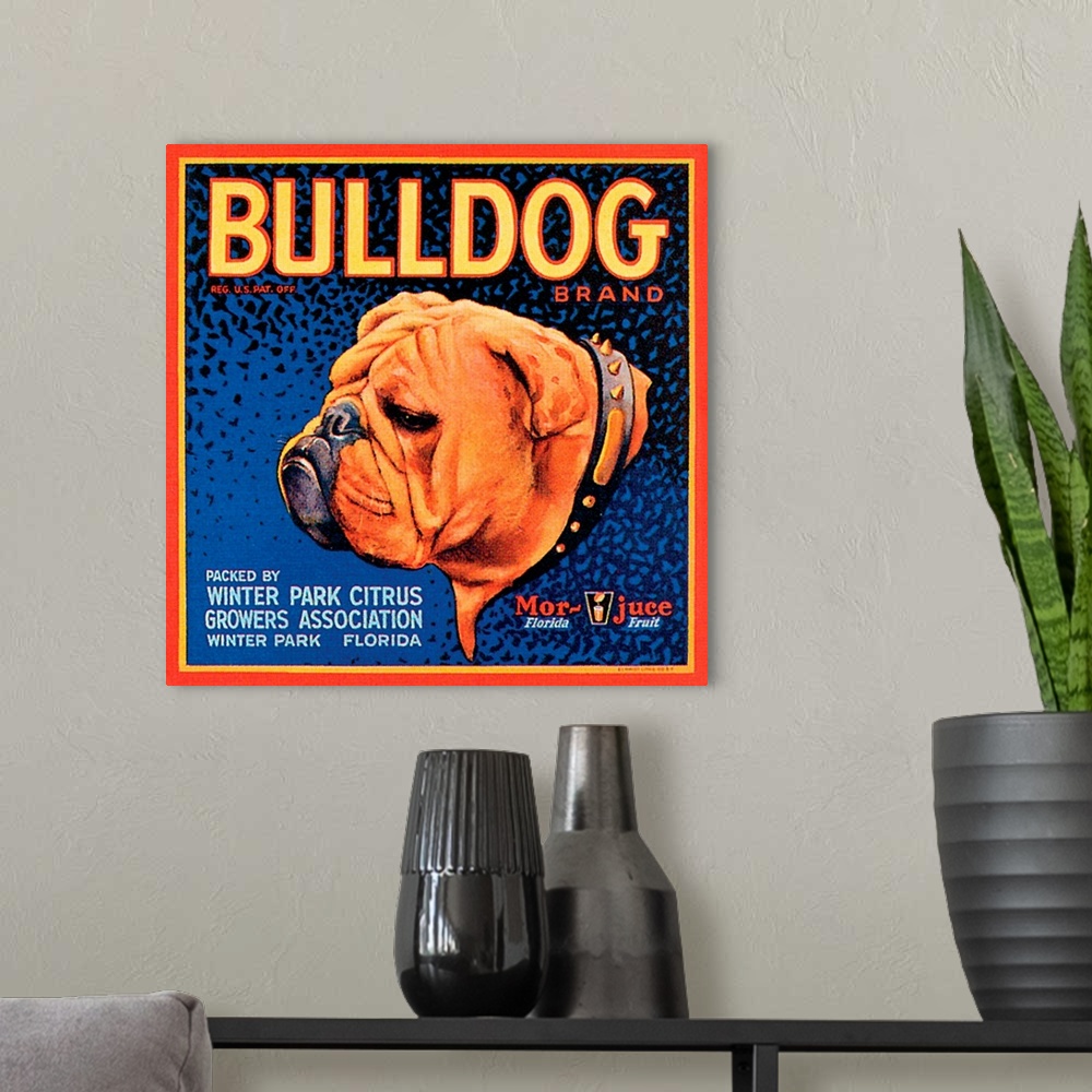 A modern room featuring Bull Dog