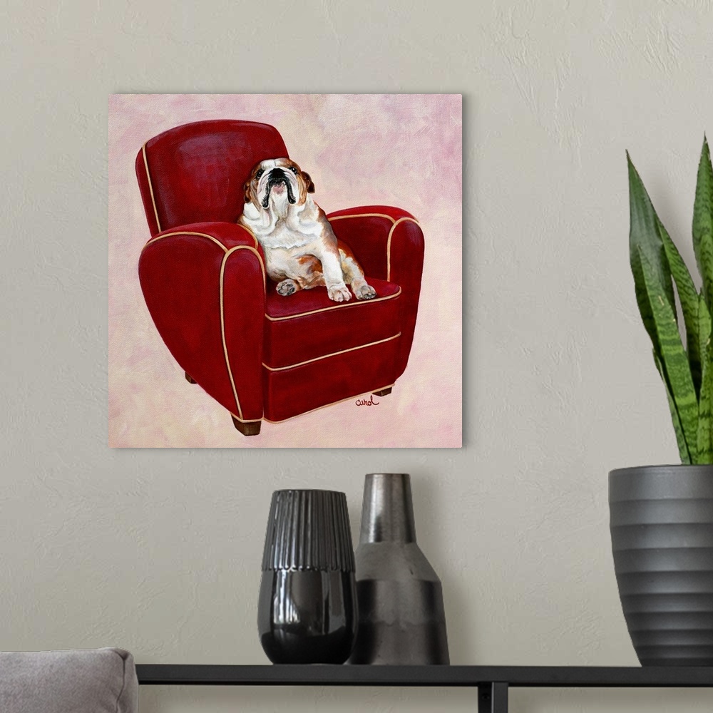 A modern room featuring Bulldog on Red