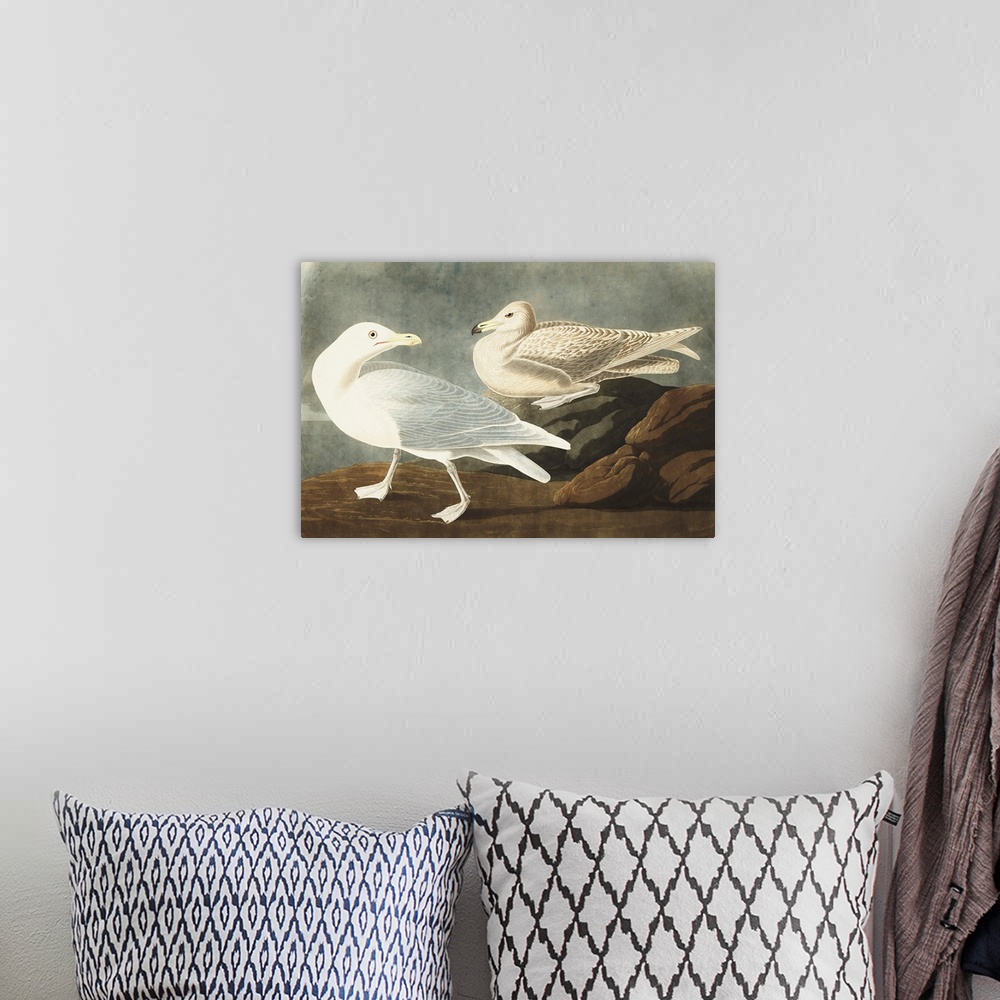 A bohemian room featuring Burgomaster Gull