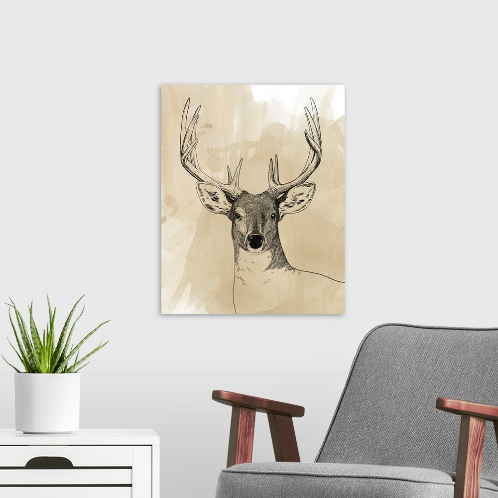 A modern room featuring Burnished Buck II