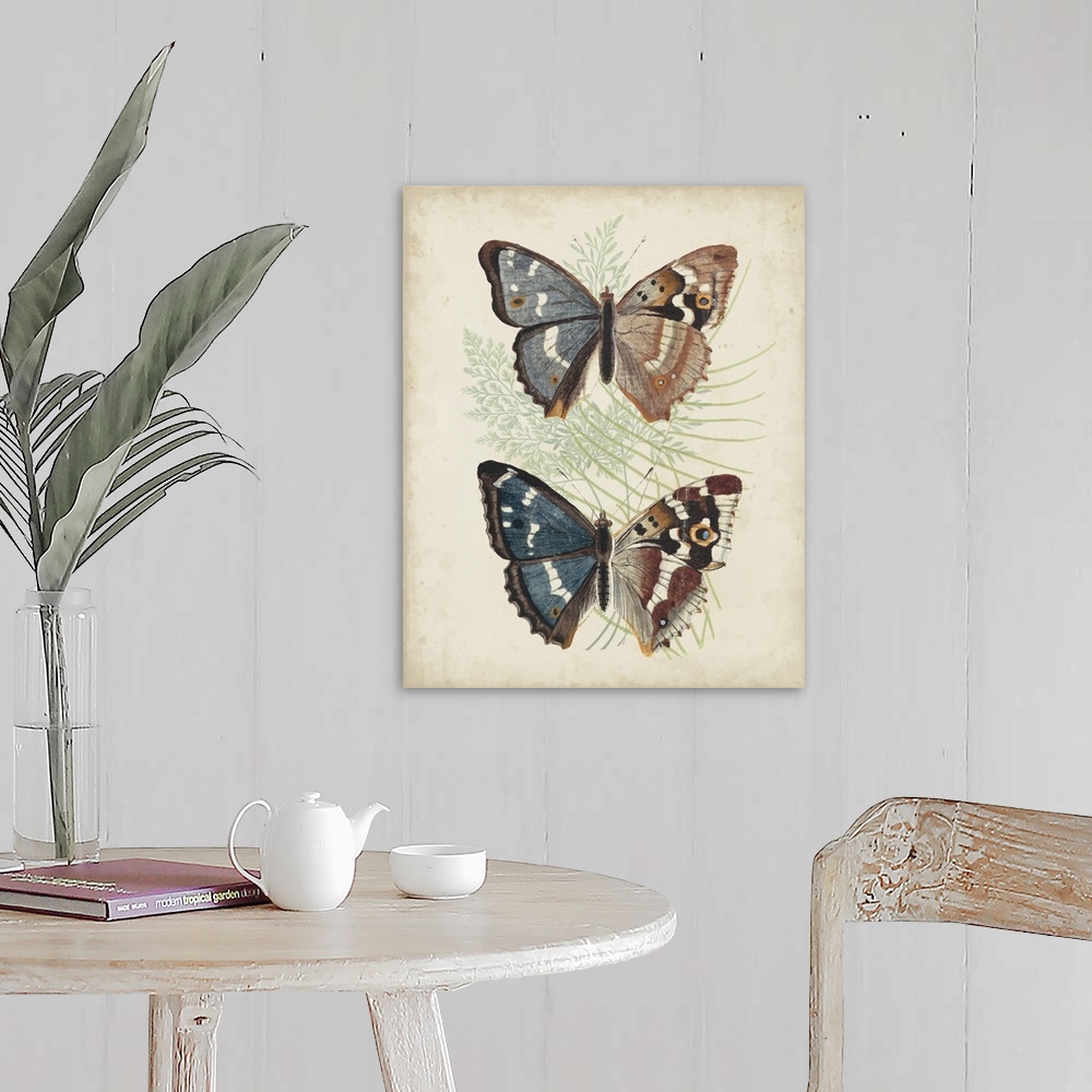A farmhouse room featuring Butterflies and Ferns IV