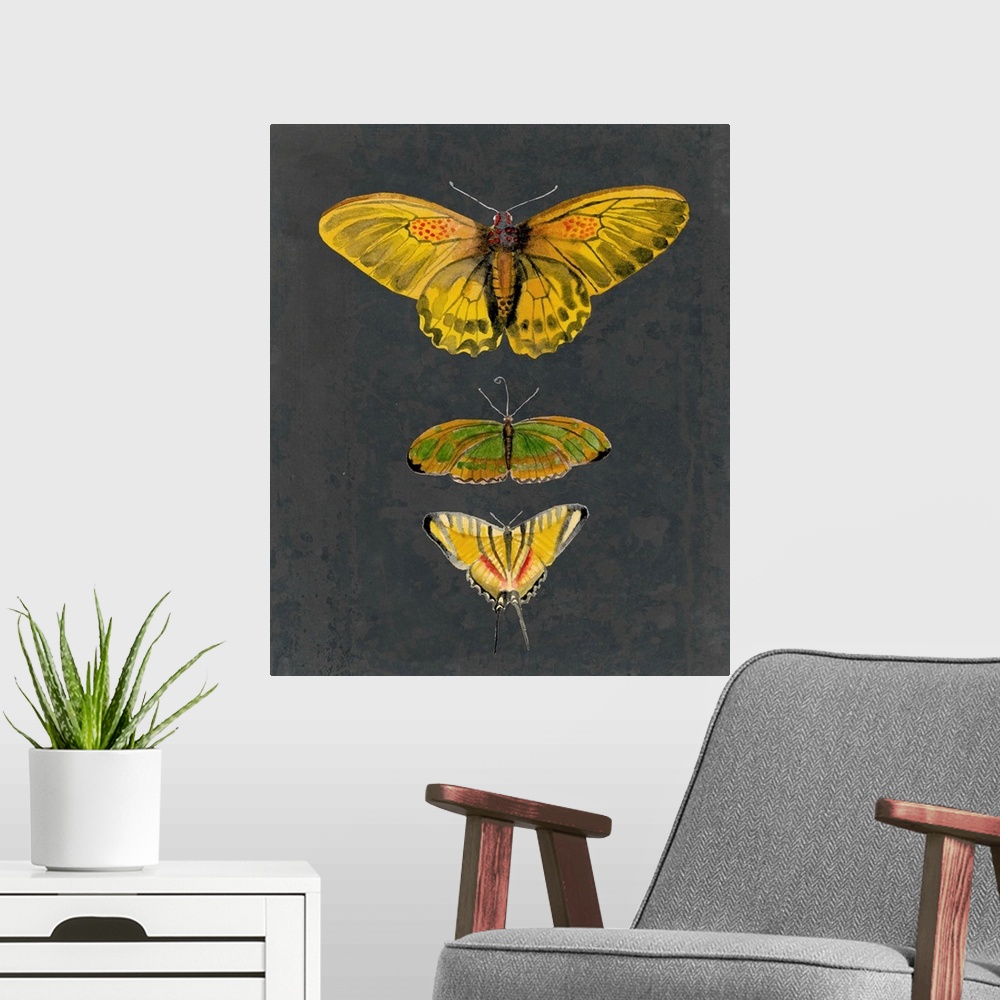 A modern room featuring Butterflies on Slate I