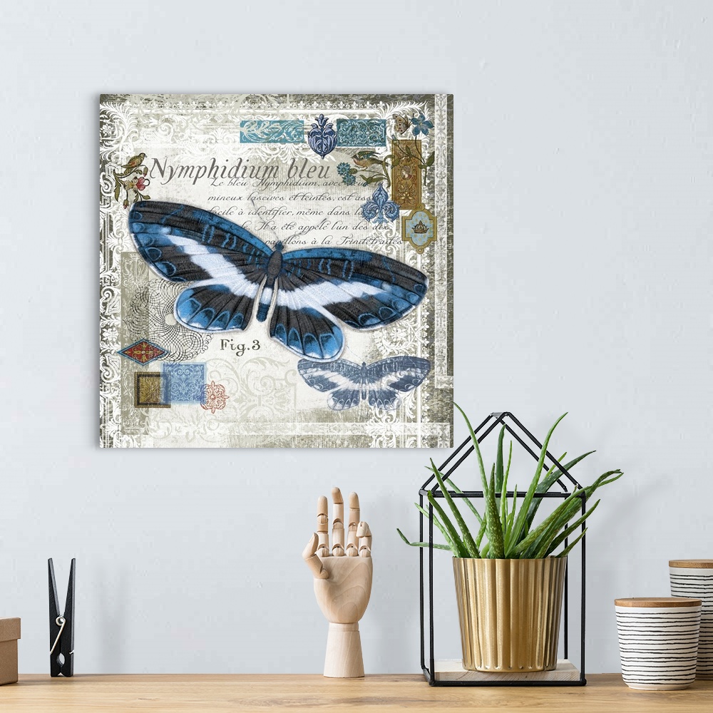 A bohemian room featuring Butterfly Artifact III