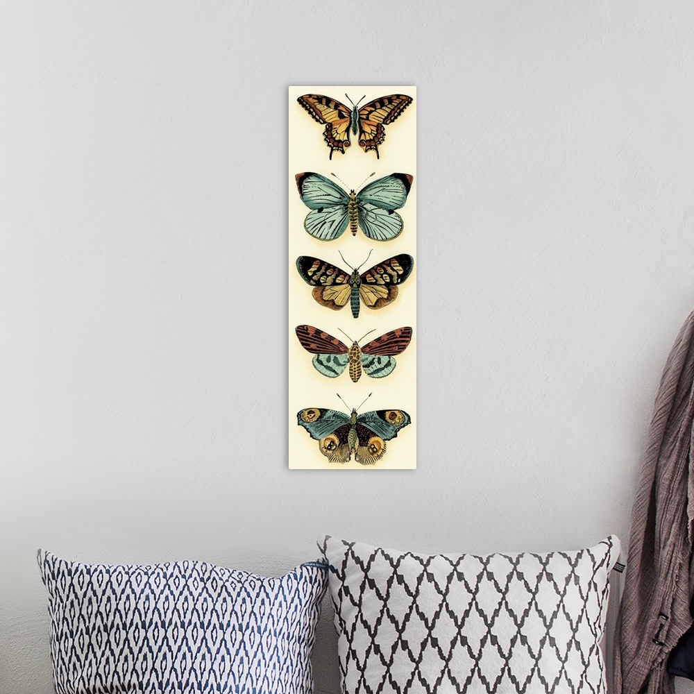 A bohemian room featuring Butterfly Collector VI