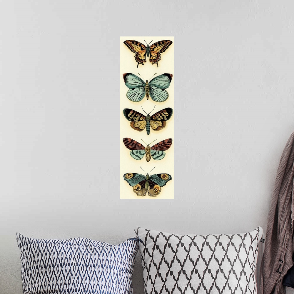 A bohemian room featuring Butterfly Collector VI
