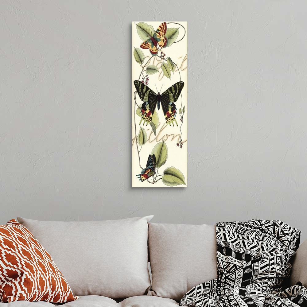 A bohemian room featuring Contemporary artwork of a vintage style butterfly illustration with script in the background.