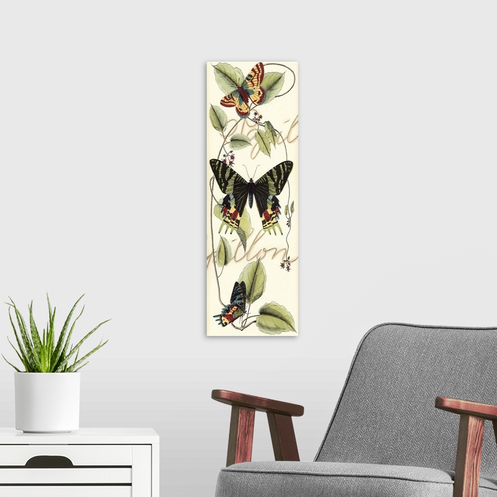 A modern room featuring Contemporary artwork of a vintage style butterfly illustration with script in the background.