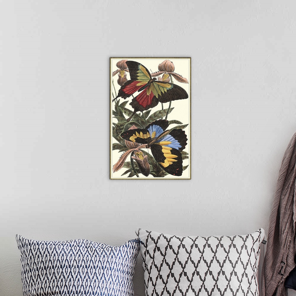 A bohemian room featuring Butterfly III