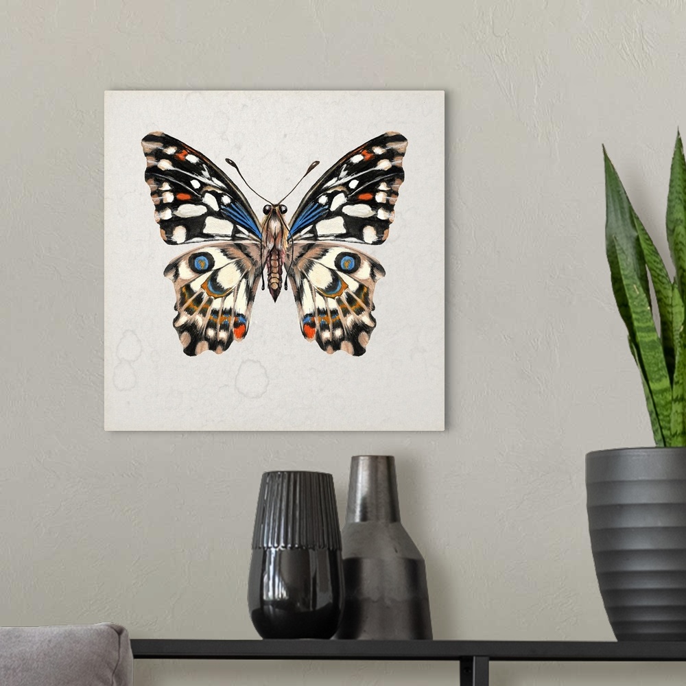 A modern room featuring Vintage style illustration of a butterfly on a beige, watermarked background.