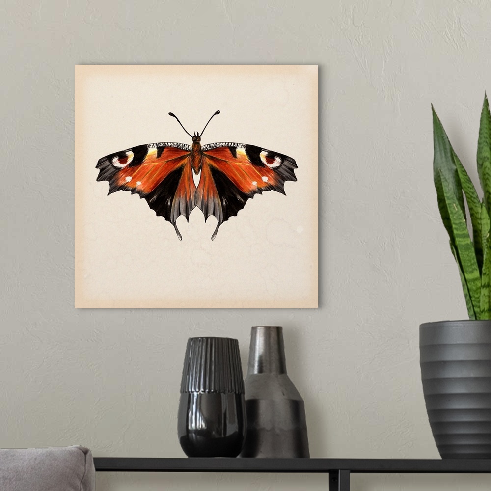 A modern room featuring Vintage style illustration of a butterfly on a beige, watermarked background.