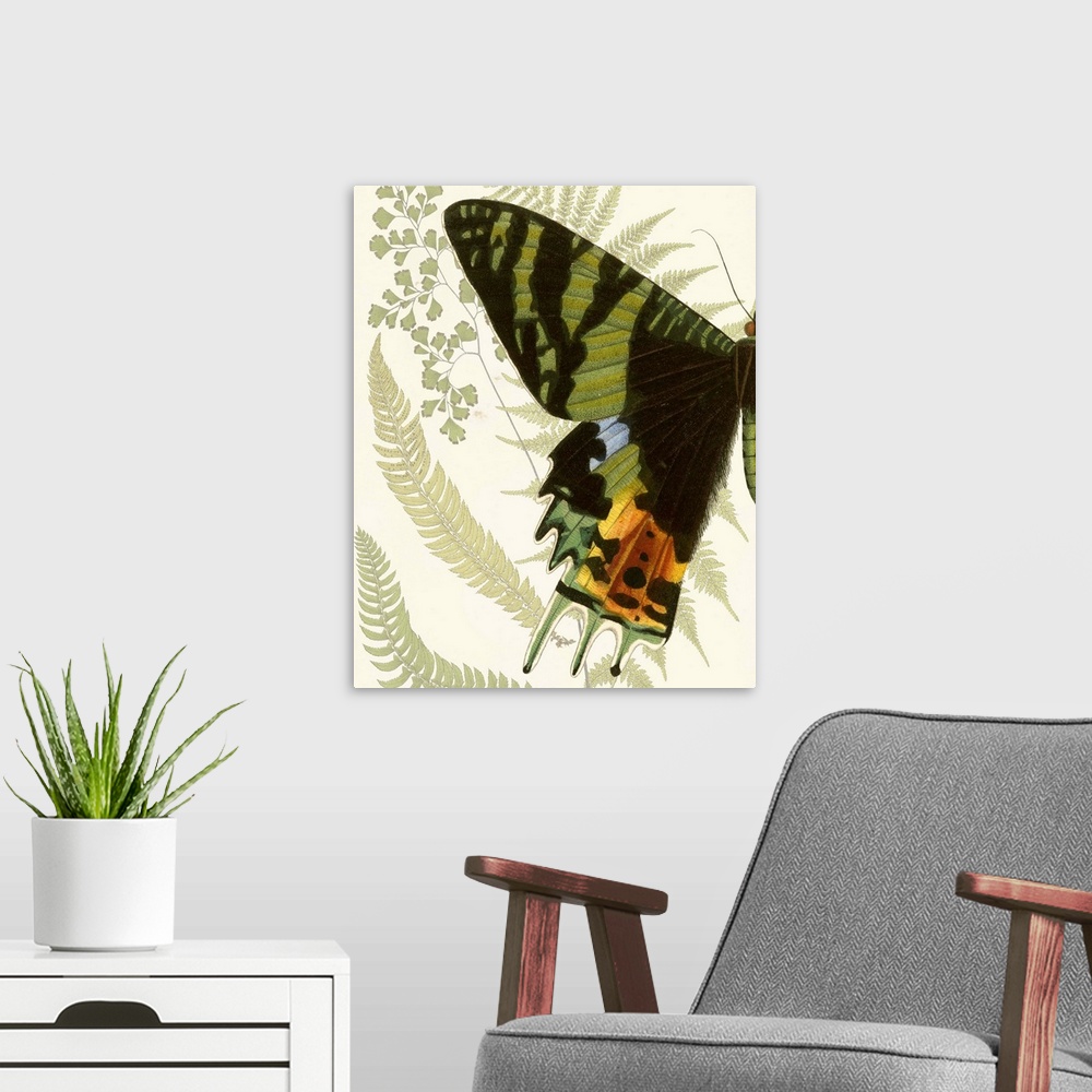 A modern room featuring A contemporary piece of artwork of a vintage stylized butterfly displaying of half of the butterfly.