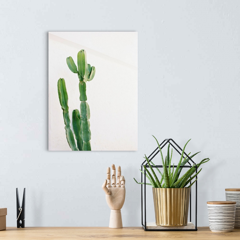 A bohemian room featuring Photograph of a tall cactus against a white wall.