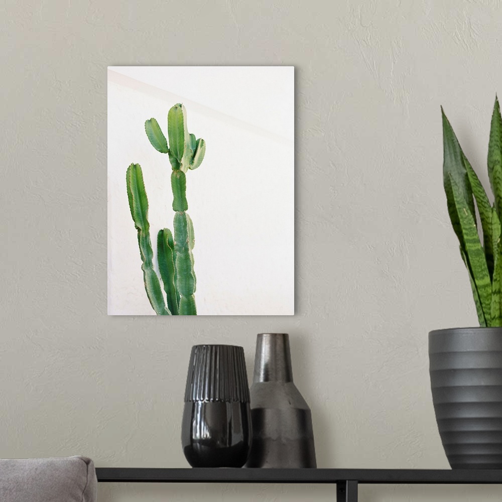 A modern room featuring Photograph of a tall cactus against a white wall.