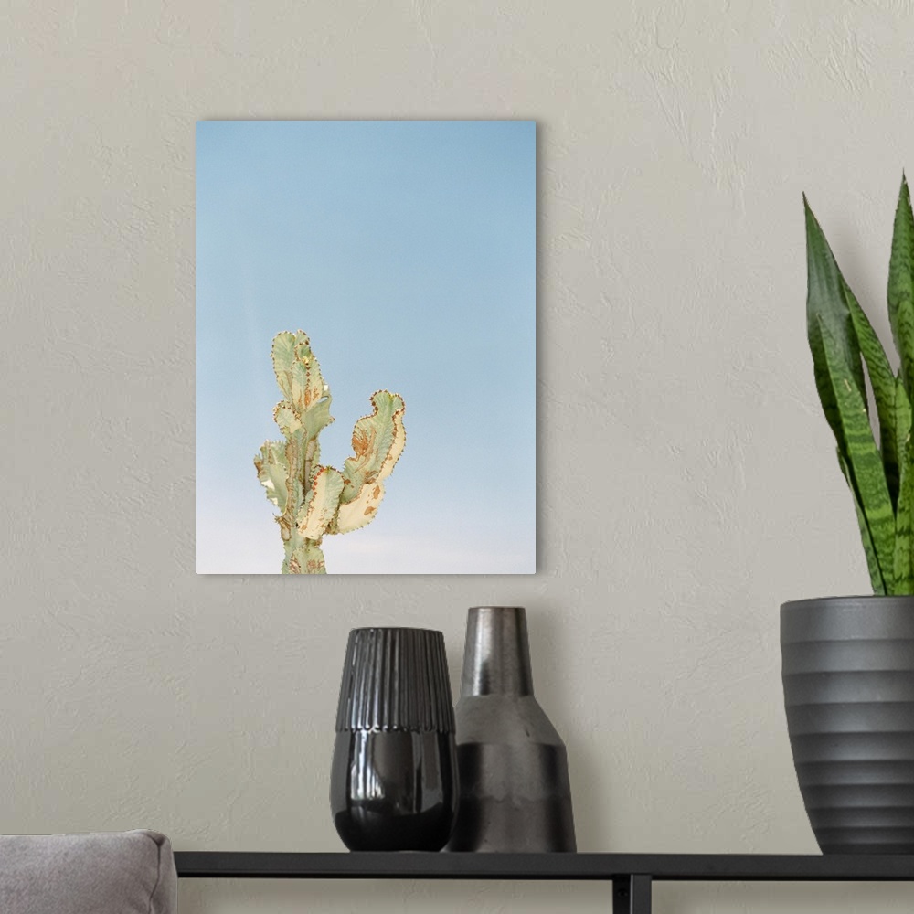A modern room featuring Photograph of a cactus against a bright blue sky.